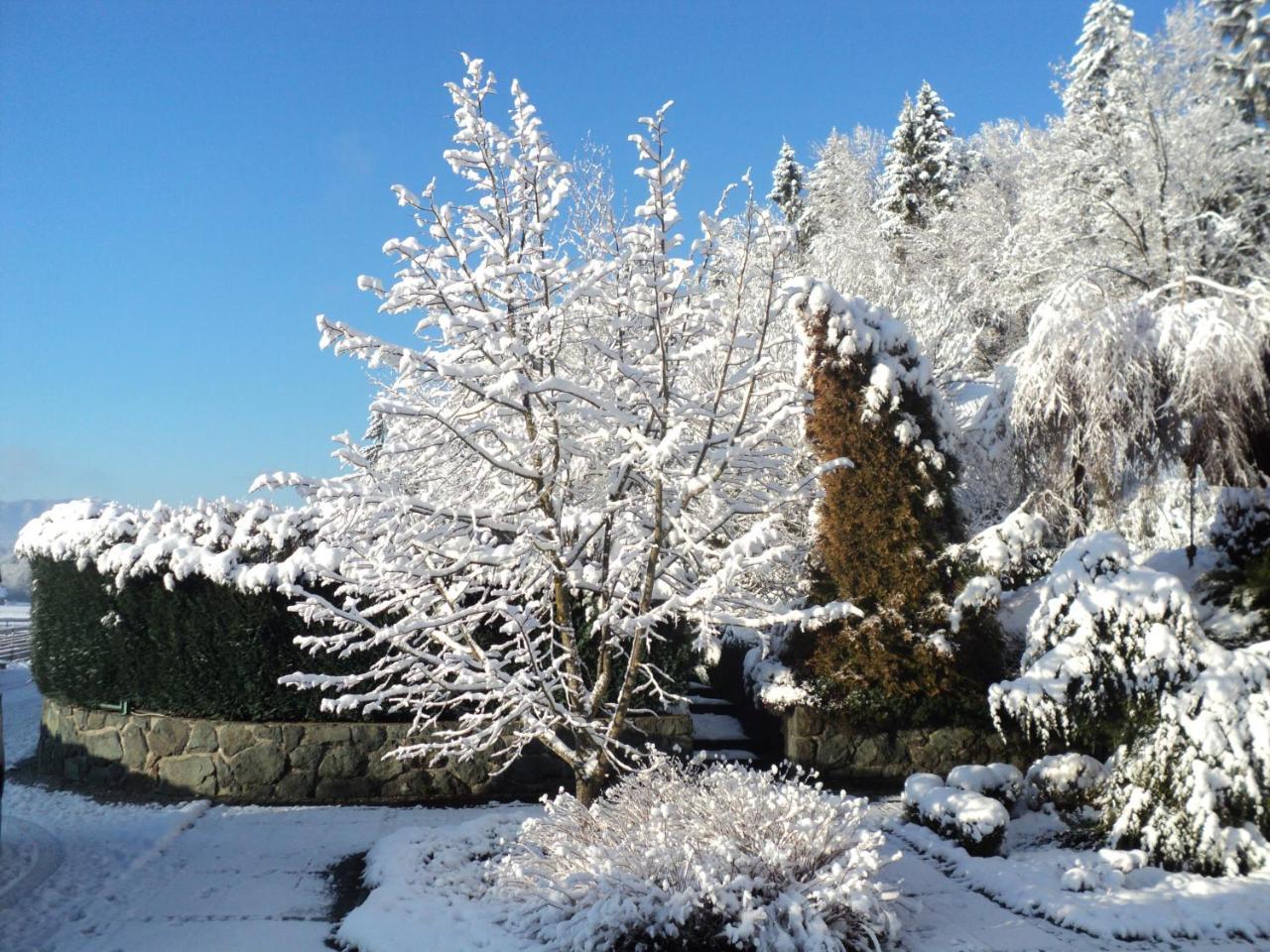 Pr'Simi Bed & Breakfast Golnik Dış mekan fotoğraf